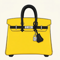 Birkin Bag - Yellow